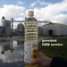 Sunflower oil - crude/high-oleic/refined