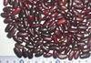 Red bean, white bean, broad bean, light speckled kidney bean, mung bean