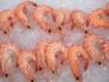Sell BT shrimp, VM shrimp, tilapia, cuttlefish Thailand Vietnam