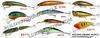 Plastic lures, hard lures (fishing tackle)