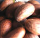 Garcinia Kola (Bitter Kola), Ginger, Garlic, Cashew Nut And Cassava