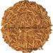 Dry mealworms