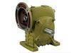 Worm gear reducer