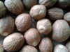 The Best Indonesian Nutmeg