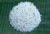 Thai Jasmine, Long Grain, White & Basmati Rice