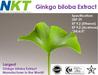 Ginkgo biloba Extract (GMP Certified) 