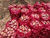 Garlic, Onion, Soyabean, Flex Seeds, Cumin Seeds, Etc.