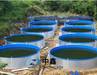 Galvanized Sheet PVC Tanks For Aquaculture