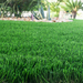 Landscape artificial grass for garden