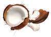 Desiccated coconut High Fat in Viet Nam