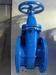  (DIN) Cast Iron Gate Valve (NRS) 