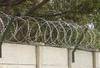 Galvanised Fencing and Razor Wire