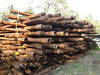 Recovered drill pipe