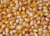 Top Grade White Rice, Yellow Corn, Soybeans, Wheat, Animal Feed, Barle