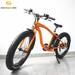 New and popular 48v 500w lithium battery electric fat bike