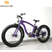 New and popular 48v 500w lithium battery electric fat bike