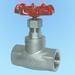 Stainless steel globe valve