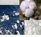 Raw Cotton Textile Material