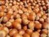 Hazelnuts walnuts hops mushrooms
