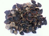 For sale sea cucumber, fish maw, shark fins, operculums and other