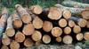 Timber supplier.