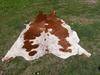 Cowhide leathers