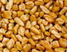 Sessame seeds, fenugreek seeds, feed barley, corn, and tumeric finger