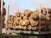 Sawlogs, Veneer logs and lumber
