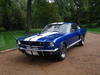 1965 Ford Mustang 289 Fastback Shelby GT 350 Model US$18,000 QUICKSALE