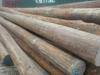 Greenheart Pilings & Lumber