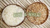 Rice, Wheat, Sugar, Edible oils. Alcohol, Gold, Copper