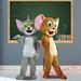 Tom Cat Jerry Mouse Cartoon Mascot Costumes
