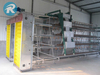 Egg chicken battery cage with auto egg collection equipment