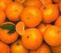 Oranges, Lemon, Mandarin and many other fruits Available