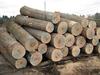 White Oak Logs and Lumber