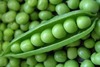 Green Peas, Cauliflower, French Beans