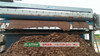 Belt press filter for dewatering slurry from pilling and drilling