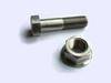 Titanium fastener