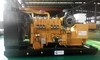 Natural gas generator prime power 450kW