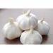 Fresh White Garlic (China) 