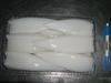 Selling Pangasius fillet