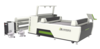 Double Head Asynchronous Laser Cutter with Vision System