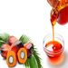 Natural Red Palm Cooking Oil /RBD Palm olein