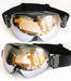 Fashionable Snow GOggles