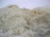Textile Waste, Comber Noil, Pneumafil Cotton, Cotton Roving, Cotton Linter