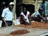 Cocoa Agricultural Trading Products