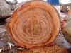 African round logs and timber
