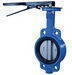 TypeA/LT concentric butterfly valve