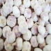 Chinese fresh pure white garlic and normal white garlic