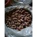 !00% Agricultural Produce For Sale (Cashew nut, Melon Seed-Egusi & More